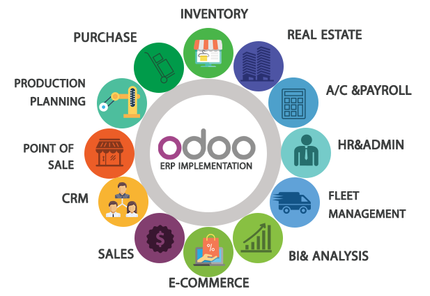 Odoo Developer